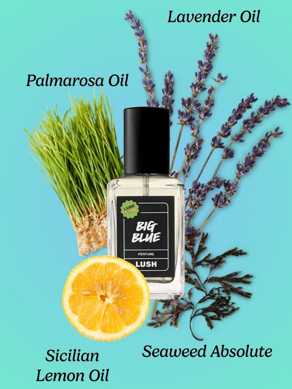 Lush Big Blue (30) Limited Edition